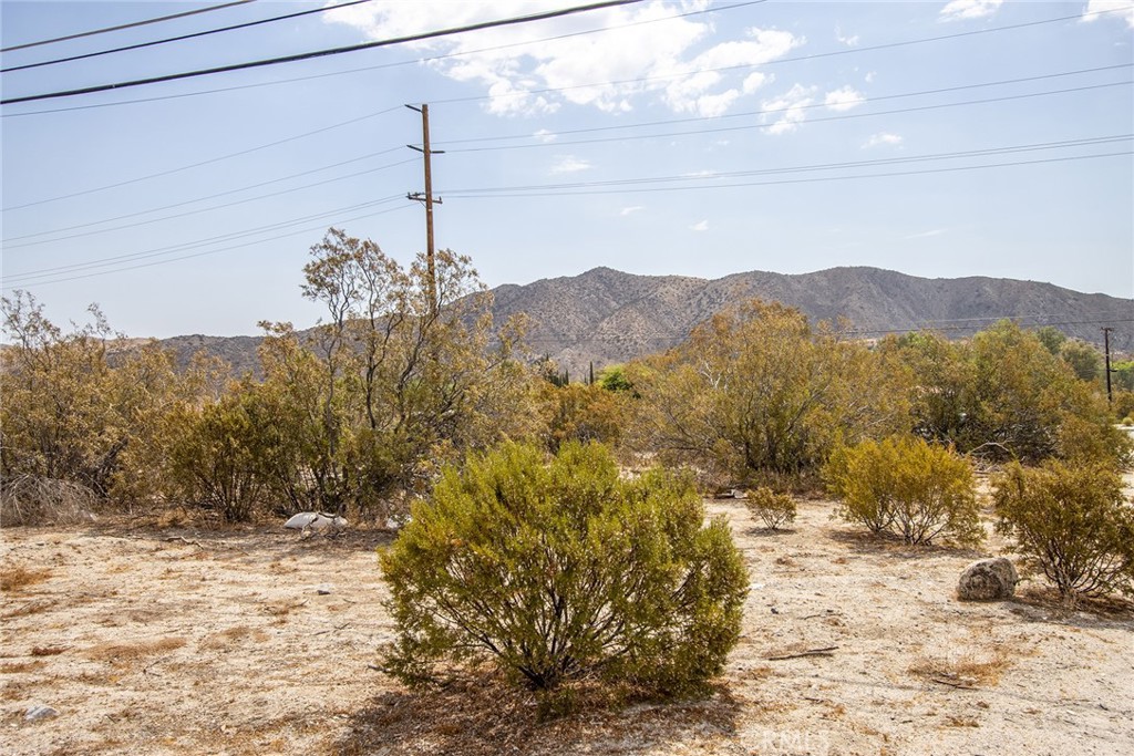 MLS #JT22185497 image #16