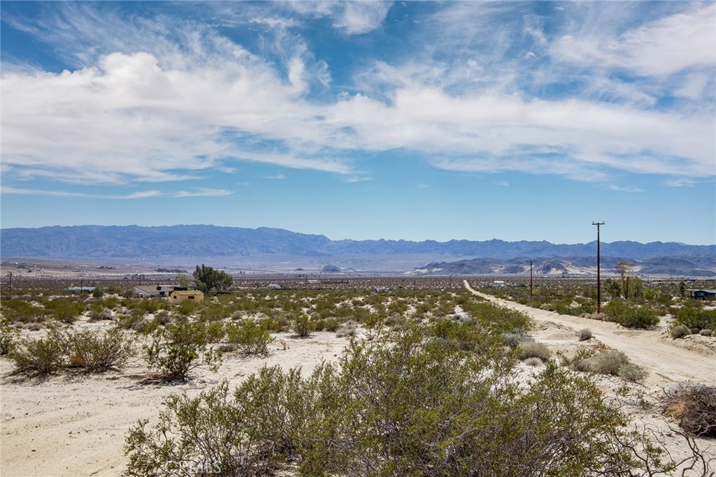 MLS #JT23024029 image #6