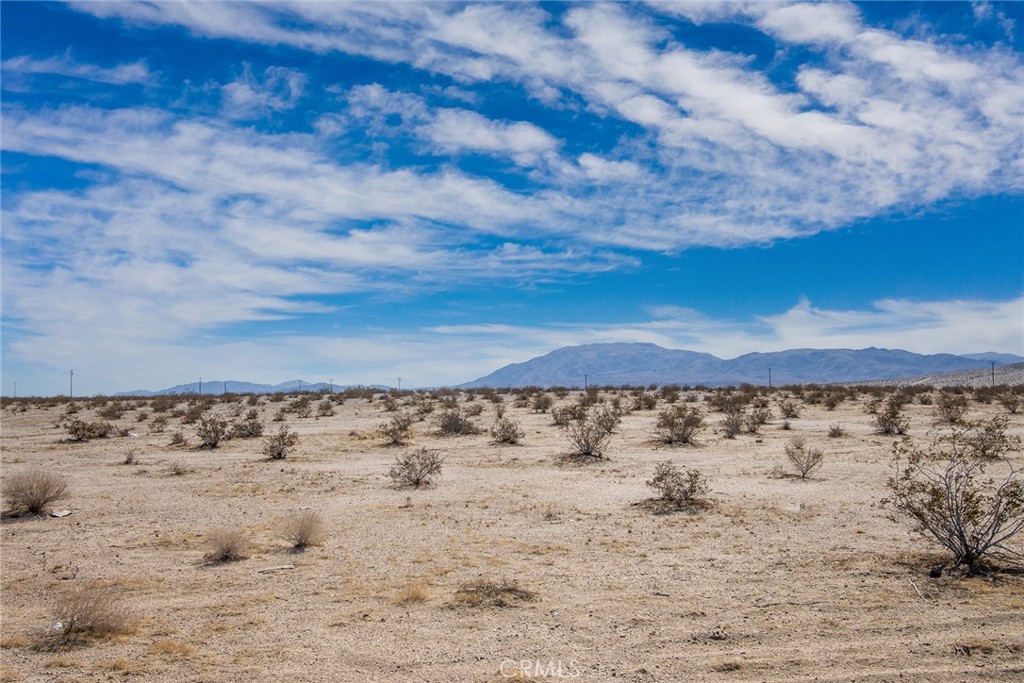 MLS #JT23024034 image #10