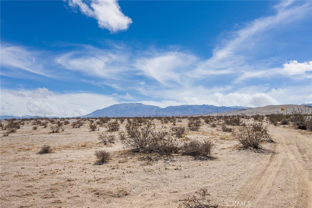 MLS #JT23024034 image #12