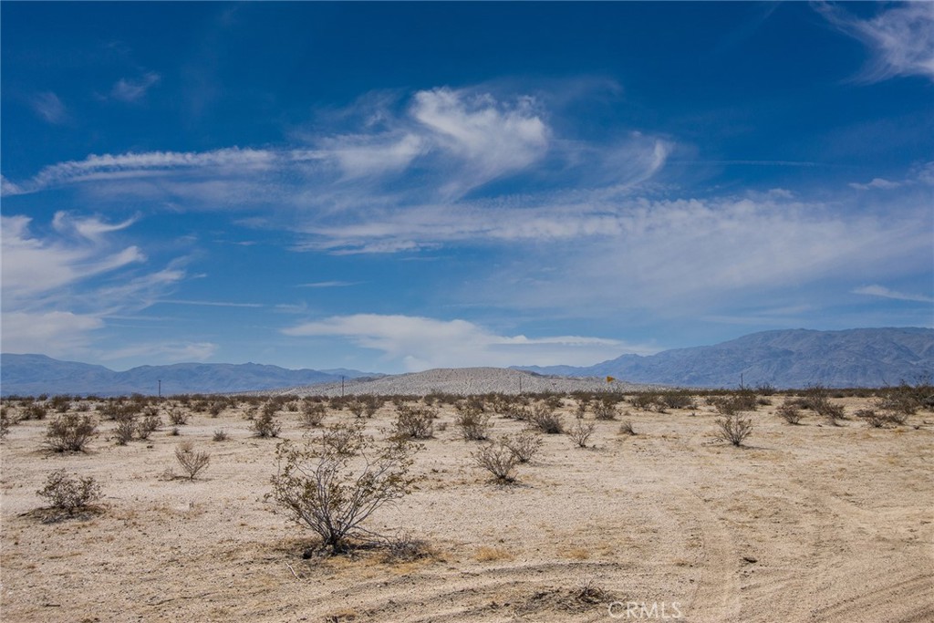 MLS #JT23024034 image #14