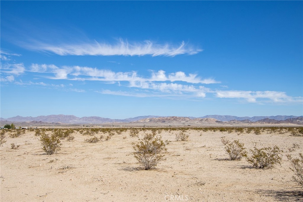 MLS #JT23024043 image #4