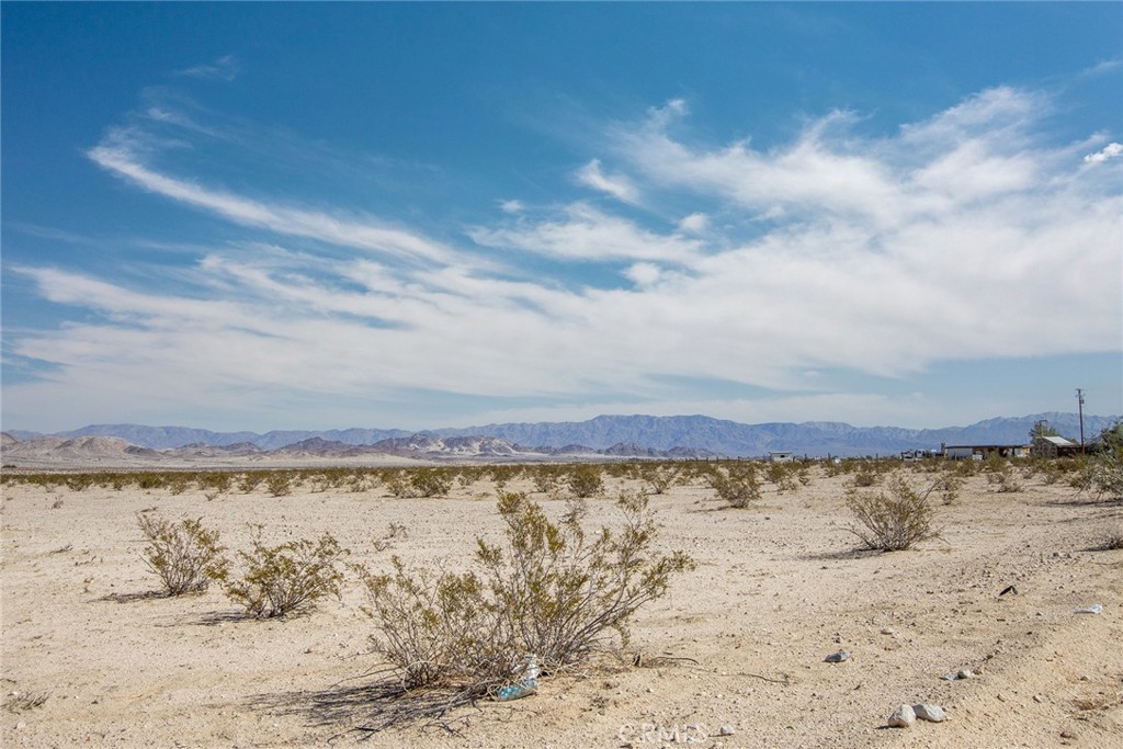 MLS #JT23024043 image #8