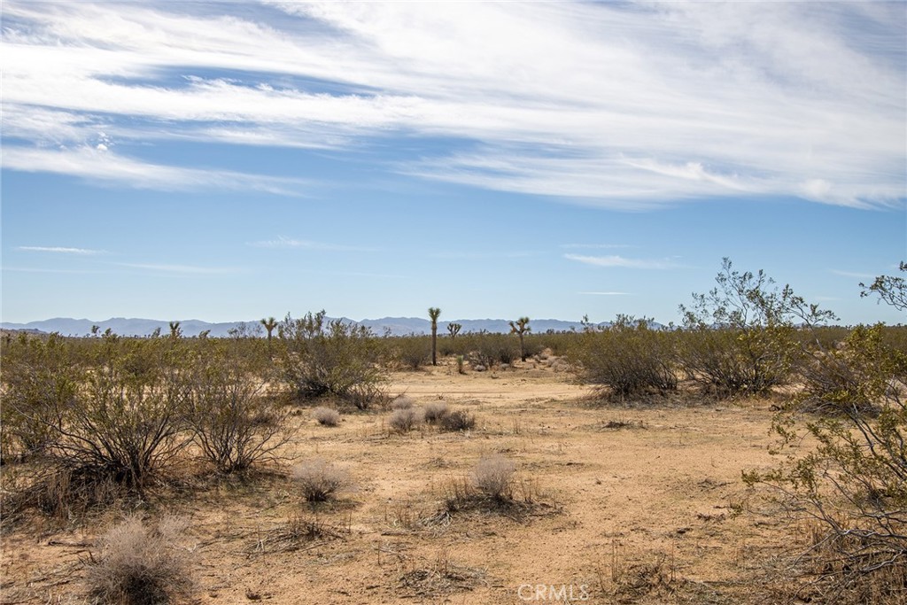 MLS #JT23024059 image #10