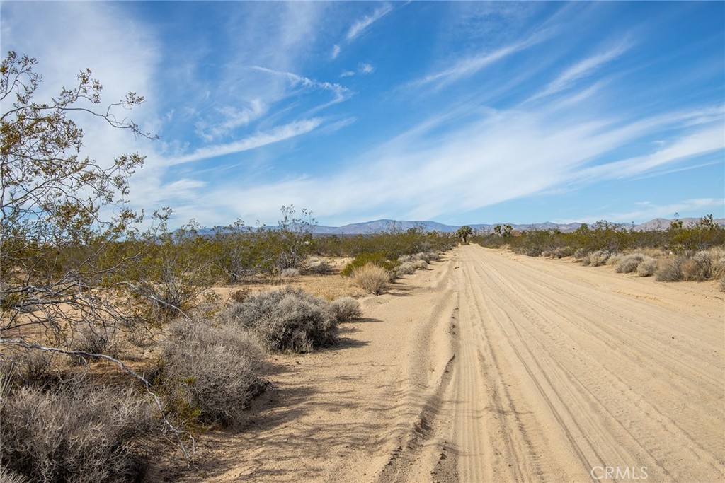 MLS #JT23024059 image #2