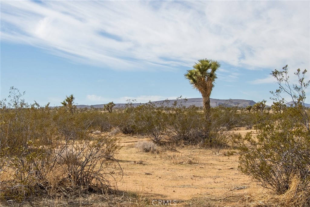 MLS #JT23024059 image #4