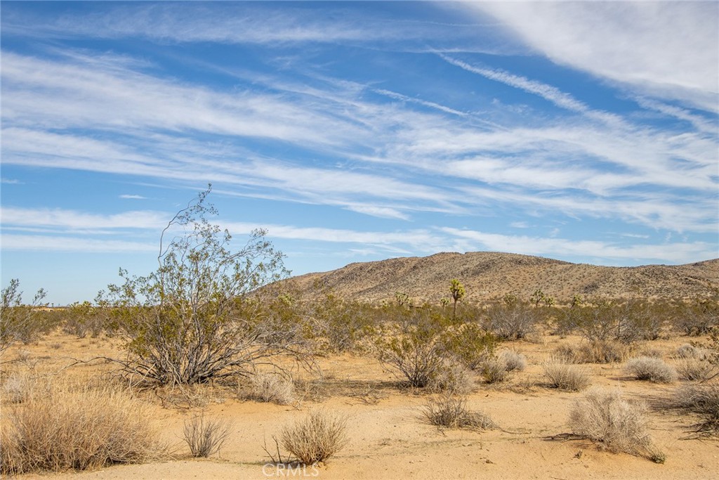 MLS #JT23024059 image #6