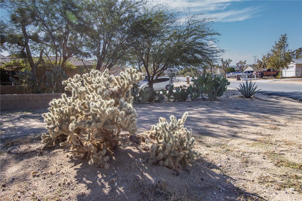 MLS #JT23024066 image #4