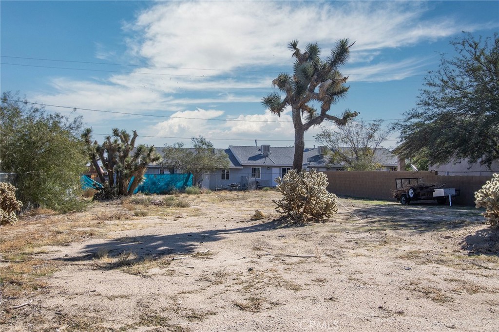 MLS #JT23024066 image #9