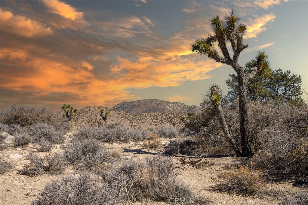 MLS #JT23024069 image #0