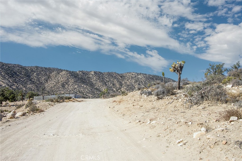 MLS #JT23024069 image #10