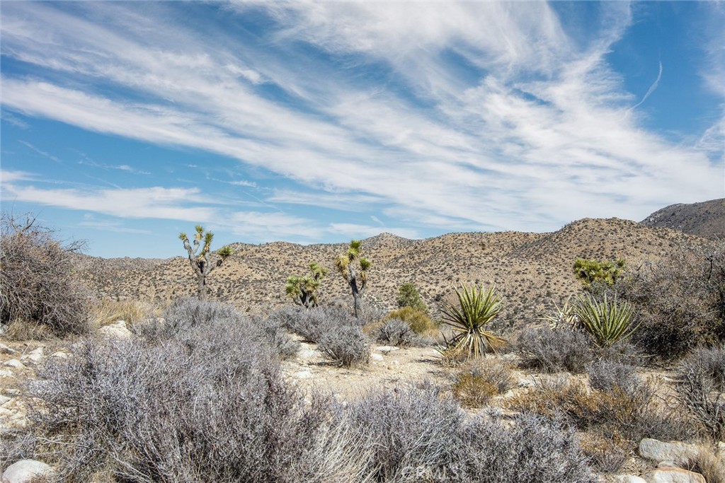 MLS #JT23024069 image #11