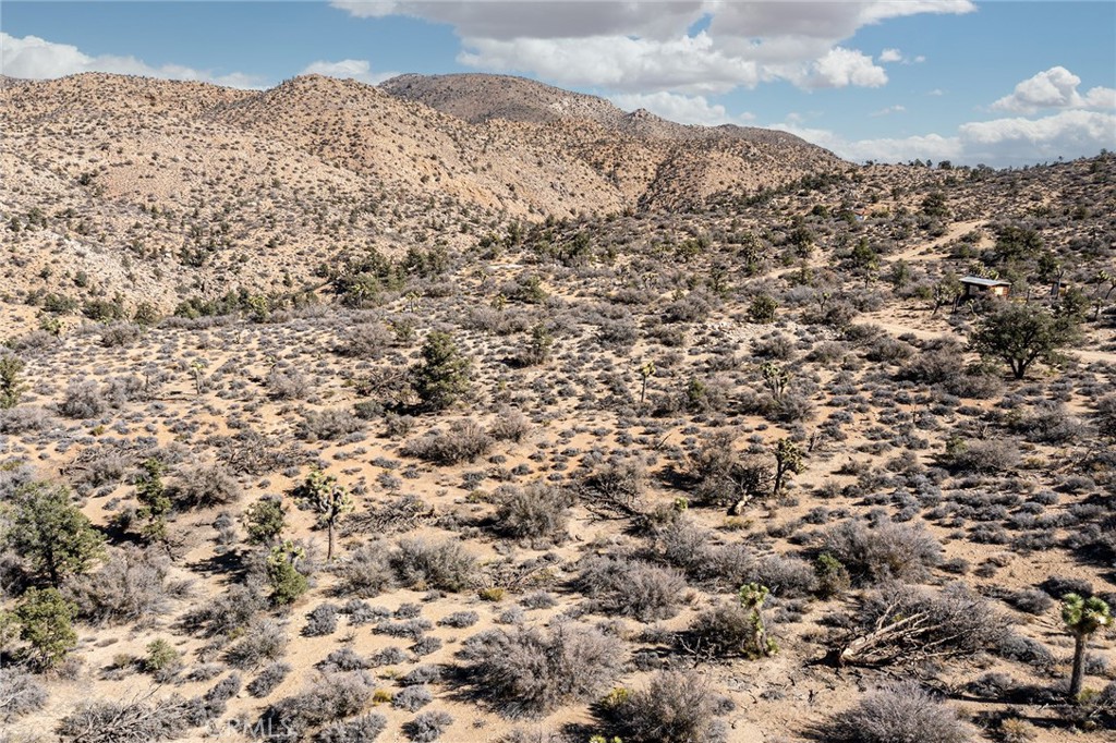 MLS #JT23024069 image #14