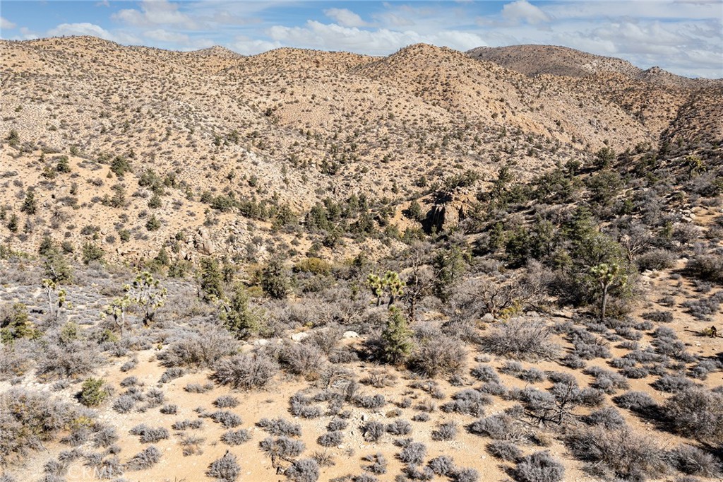 MLS #JT23024069 image #18