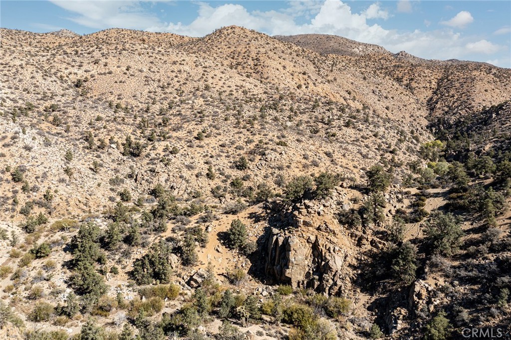 MLS #JT23024069 image #19