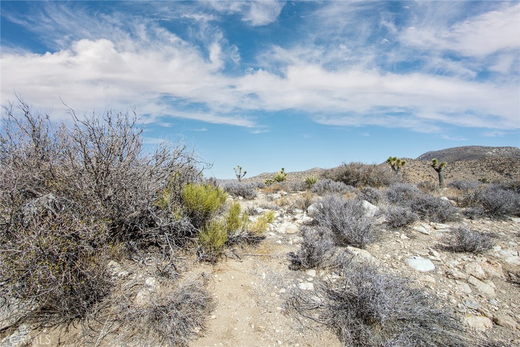 MLS #JT23024069 image #20