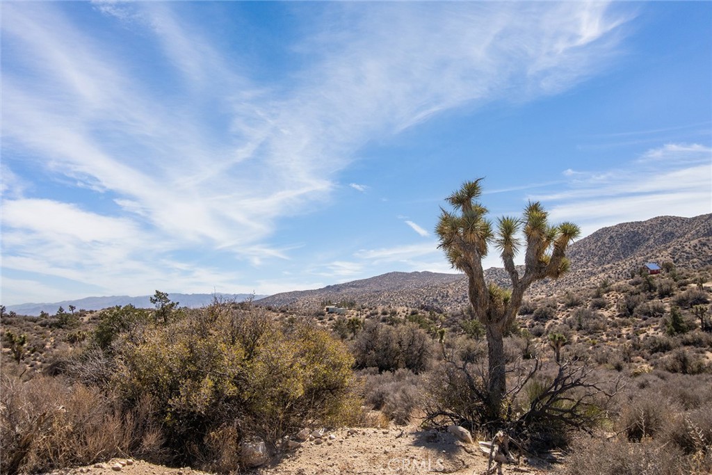 MLS #JT23024069 image #4