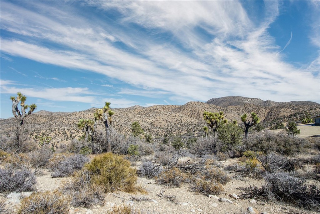 MLS #JT23024069 image #8