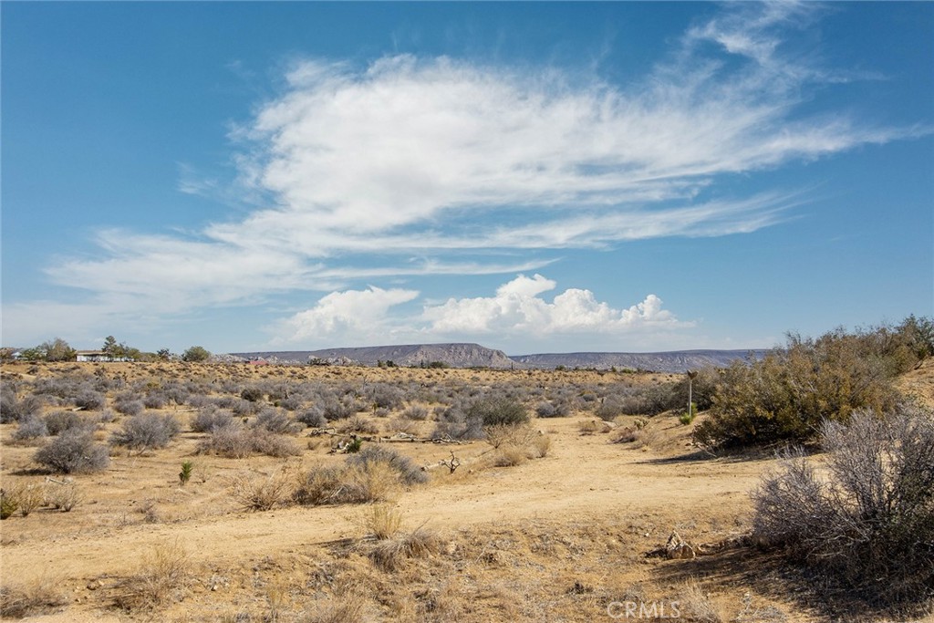 MLS #JT23024070 image #17