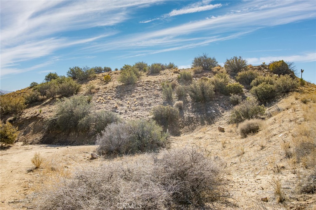 MLS #JT23024070 image #19