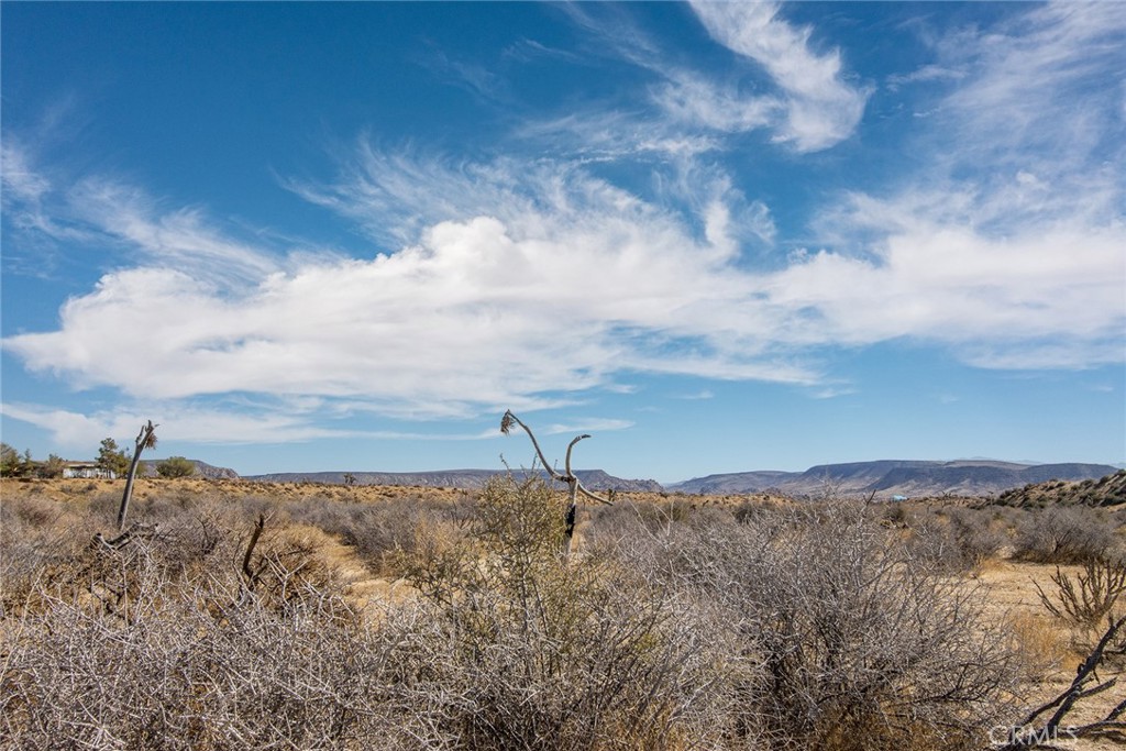 MLS #JT23024070 image #22