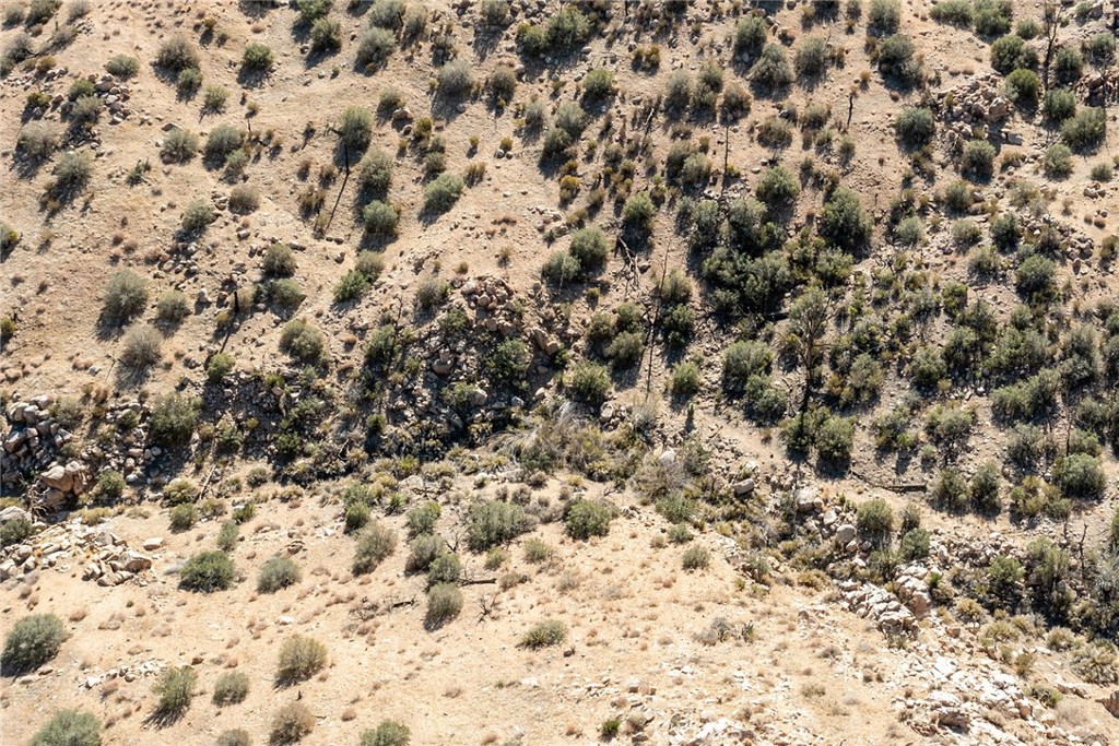 MLS #JT23024070 image #7