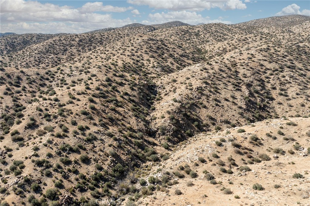 MLS #JT23024070 image #8