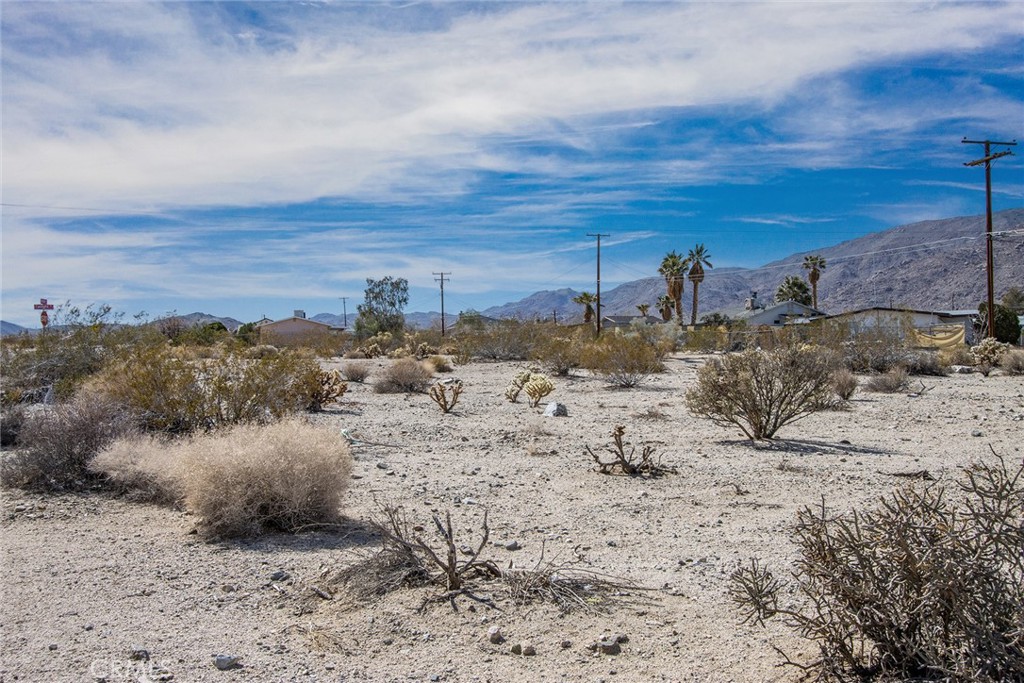 MLS #JT23040800 image #10