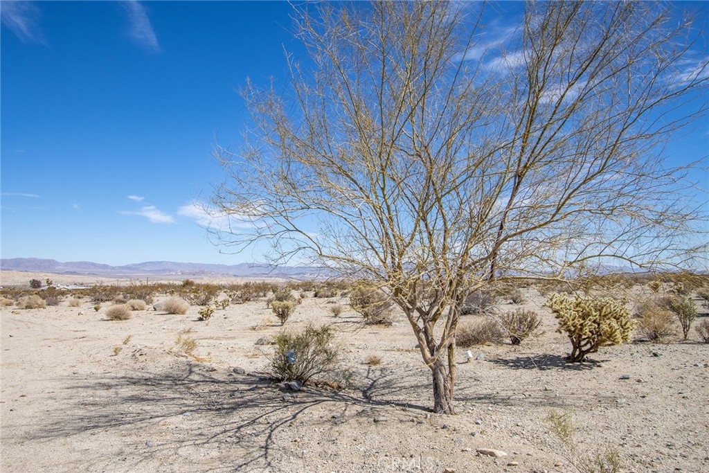 MLS #JT23040800 image #12