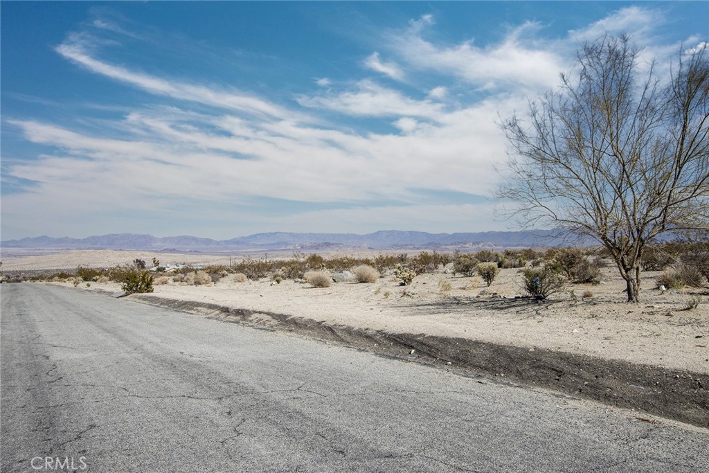 MLS #JT23040800 image #6