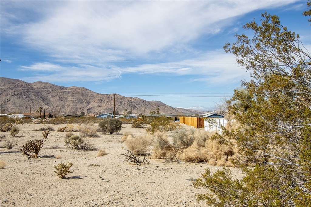 MLS #JT23040800 image #8