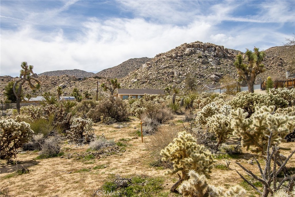 MLS #JT23052877 image #4