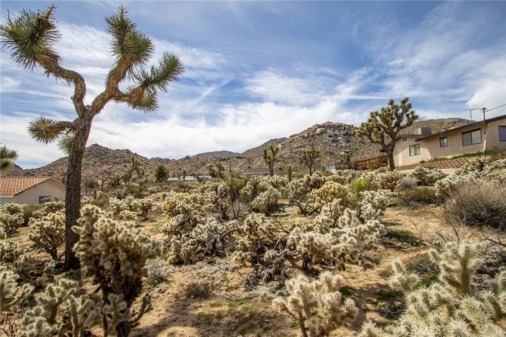 MLS #JT23052877 image #7