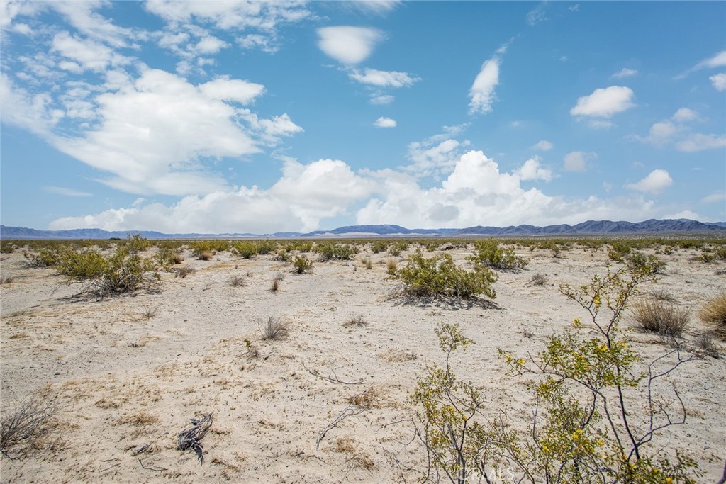 MLS #JT23077574 image #10