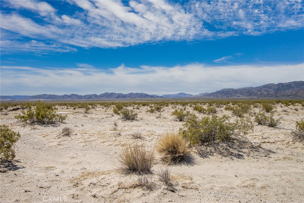 MLS #JT23077574 image #2