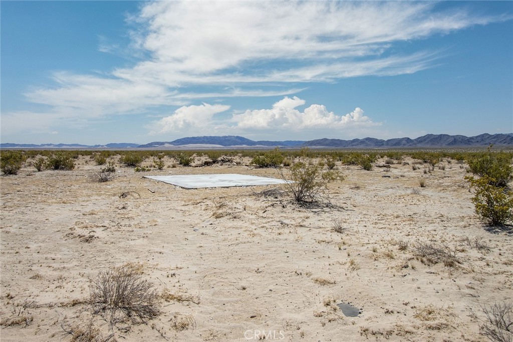 MLS #JT23077574 image #4