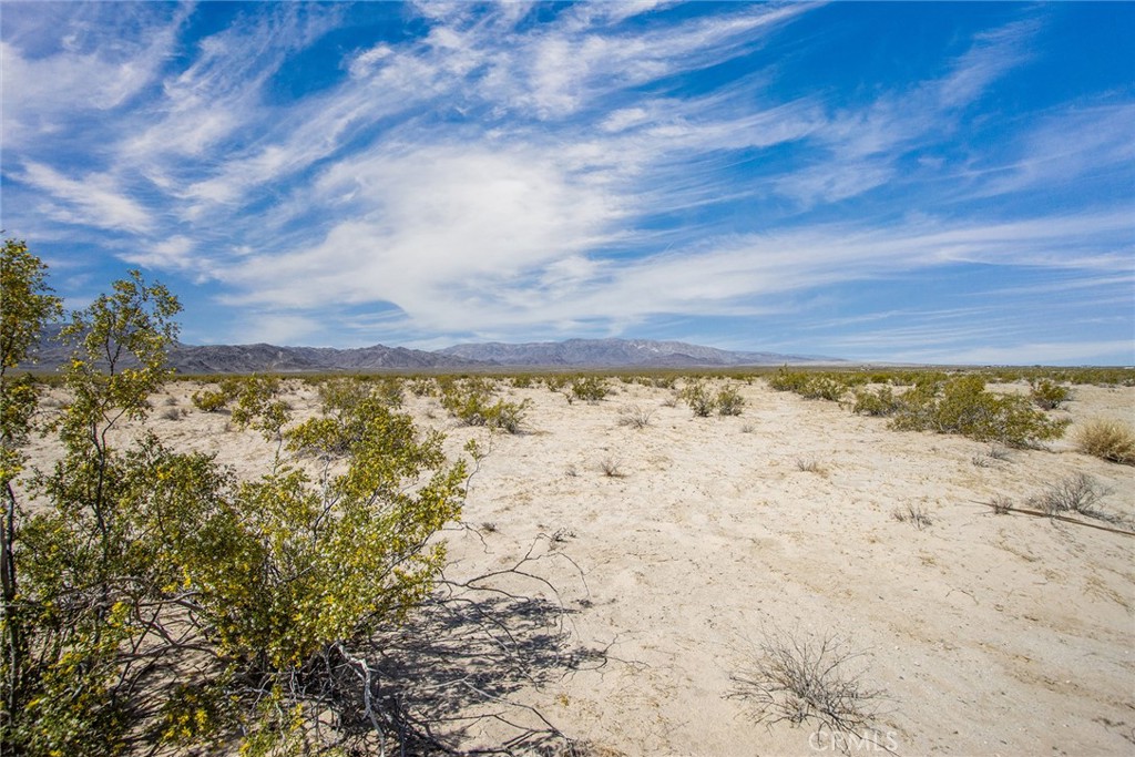 MLS #JT23077574 image #6