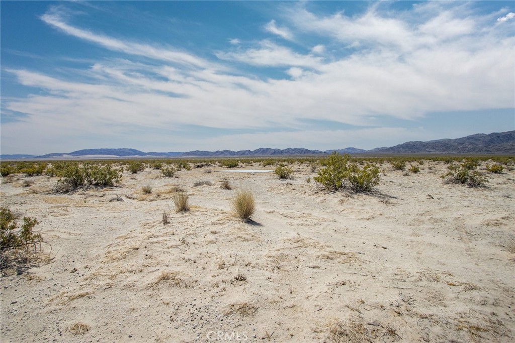 MLS #JT23077574 image #8