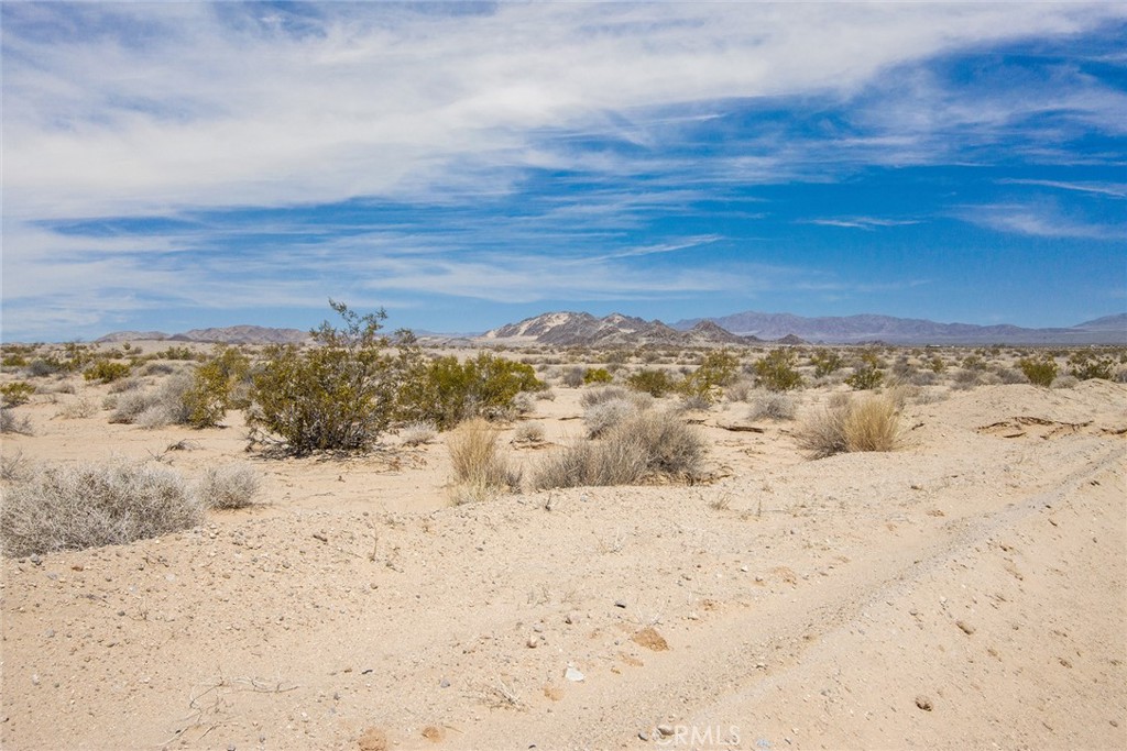 MLS #JT23077603 image #7