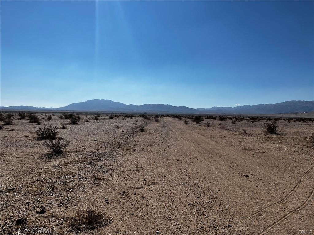 MLS #JT23177840 image #4