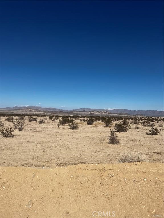 MLS #JT23177840 image #7