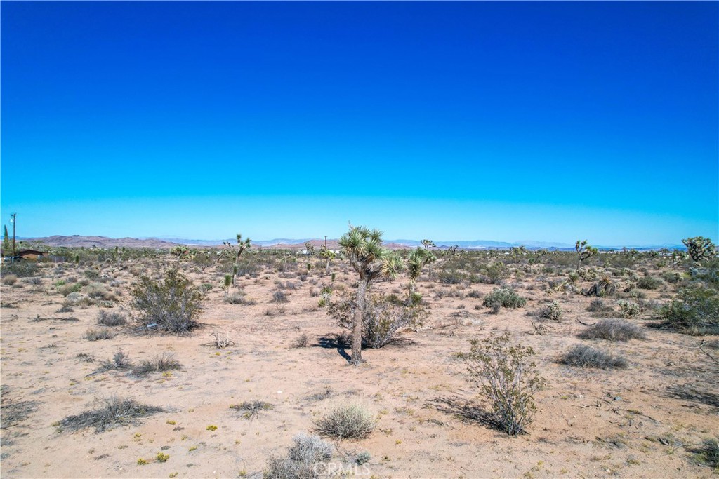 MLS #JT23178104 image #12