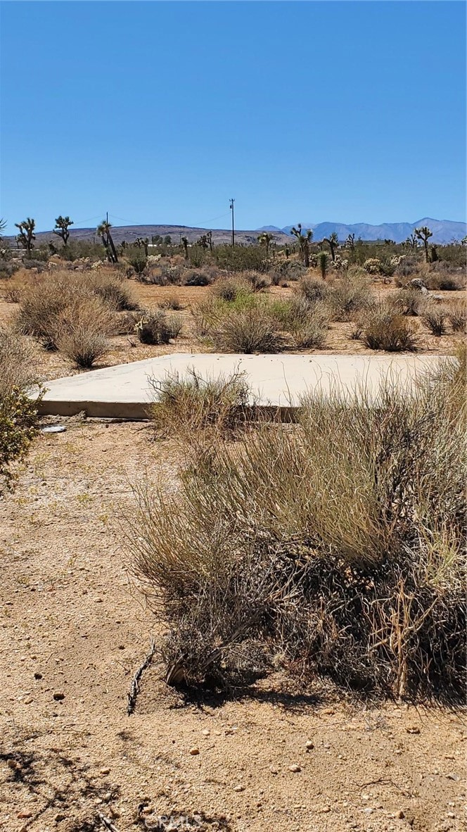 MLS #JT23178104 image #17