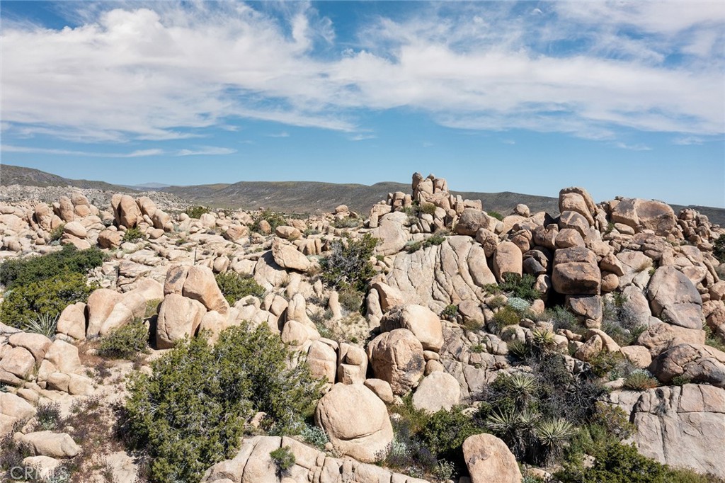 MLS #JT23178168 image #1