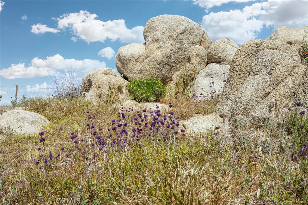 MLS #JT23178168 image #11