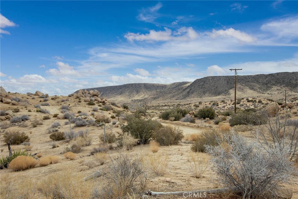 MLS #JT23192146 image #20