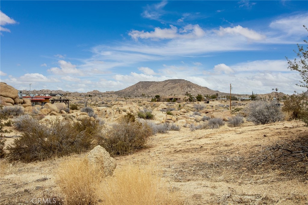 MLS #JT23192146 image #7