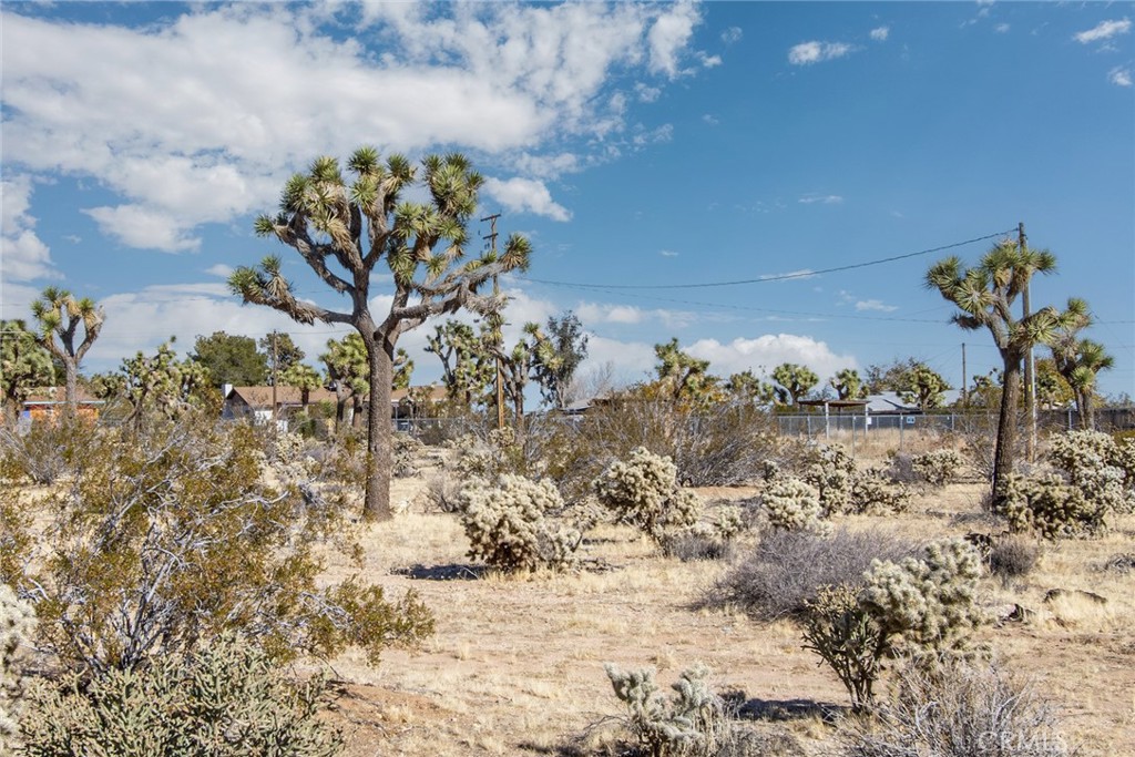 MLS #JT23226450 image #11