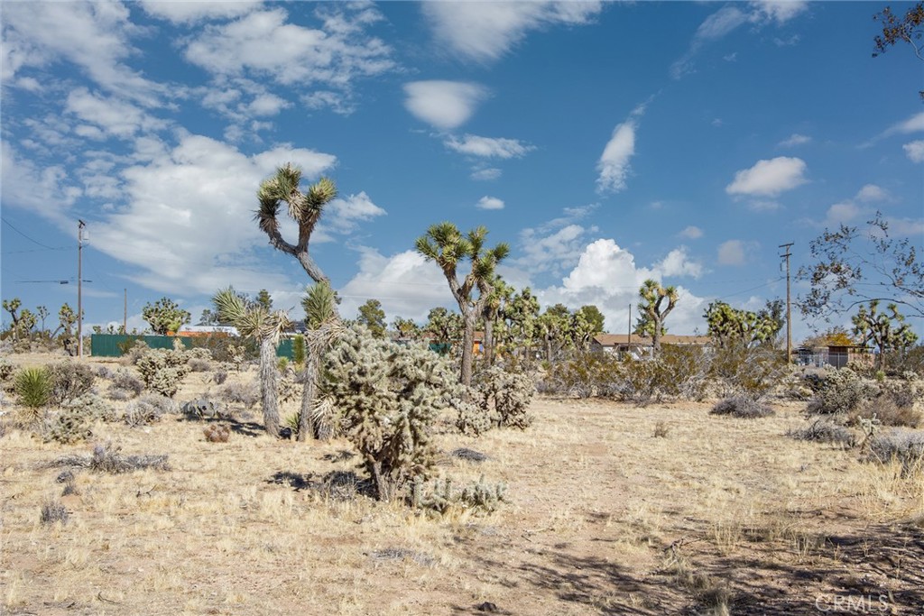 MLS #JT23226450 image #12