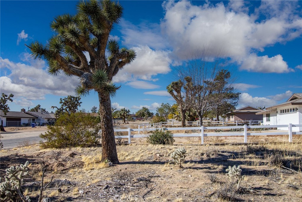 MLS #JT23226450 image #13